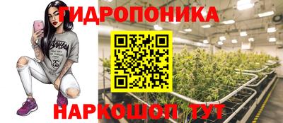 таблы Пугачёв